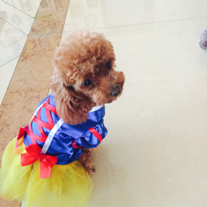 骑黑马的我最瘦