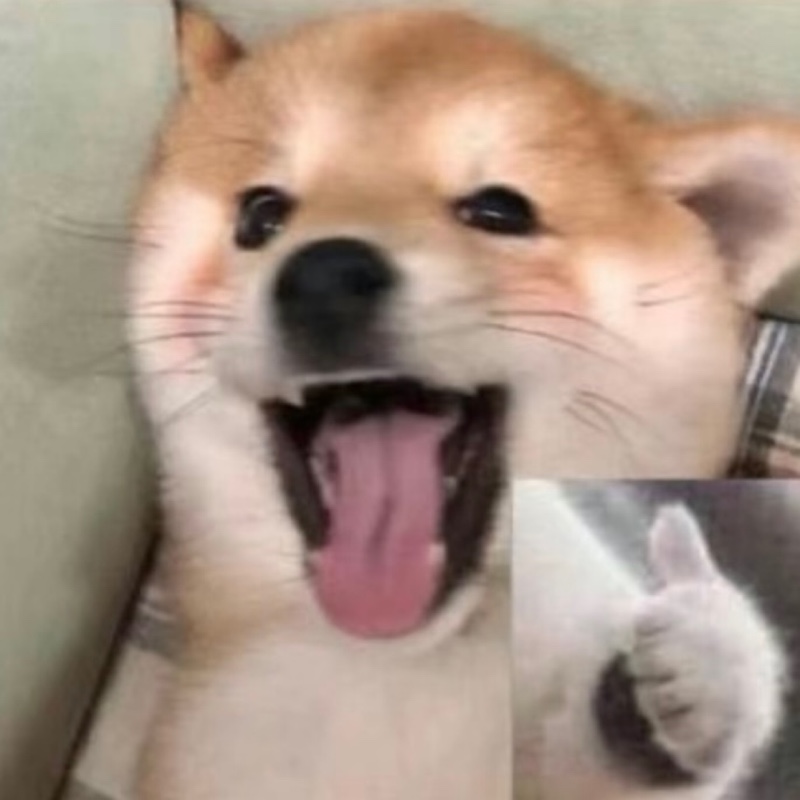 最喜欢的桃醉500cc