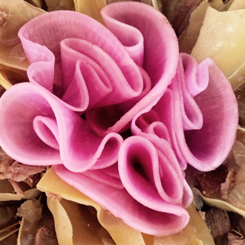 强强我最强m(__)m