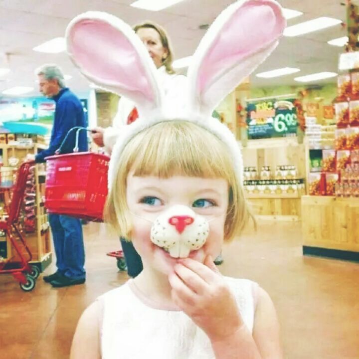 巧克力蘑菇力巴波