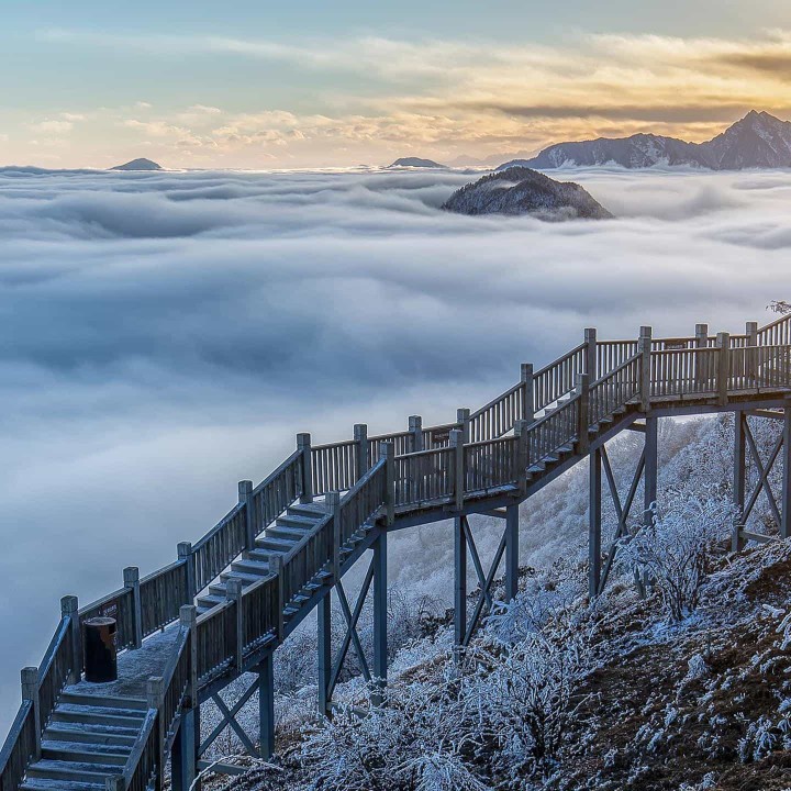 天空之下自由飞