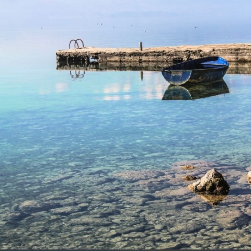 爱吃宫爆藕丁的画家