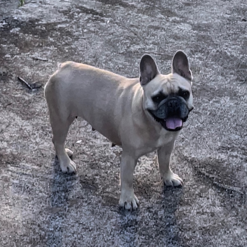 脚臭是男人味吗