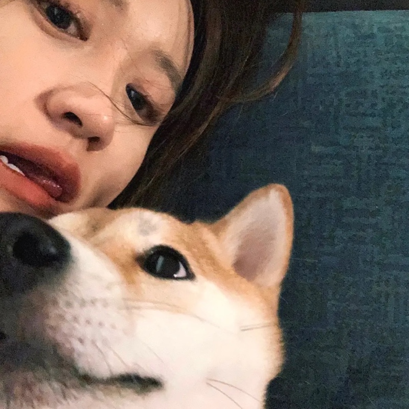 四夕人圭王木木