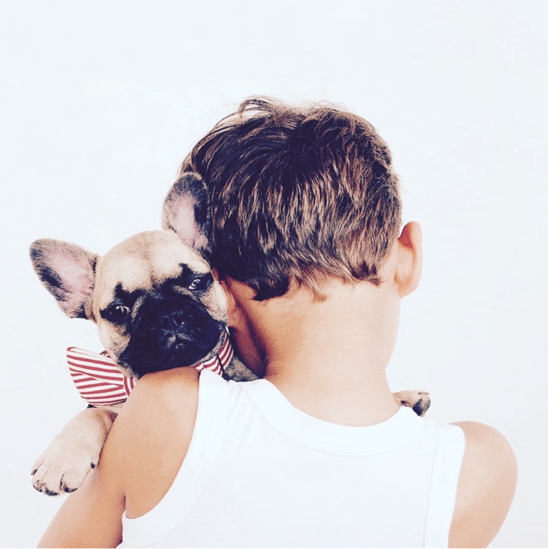 诚实守信规矩做人