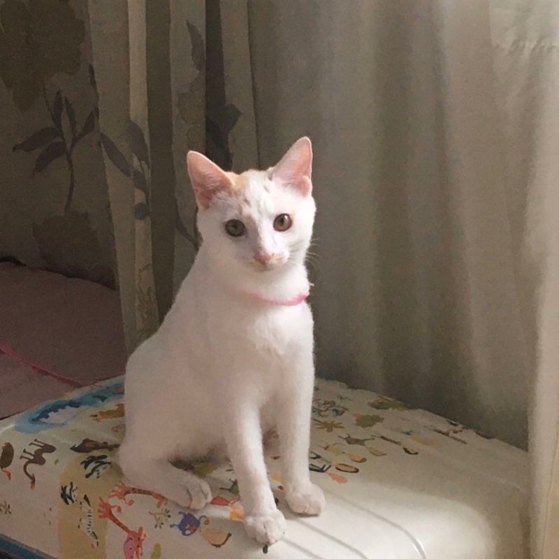 海底深有两万里