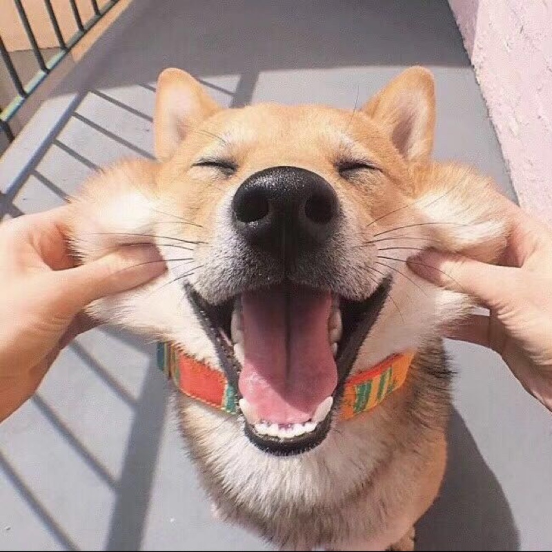 爱吃拌牛蹄筋的猎人