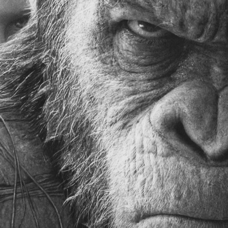 不买还是买呢！