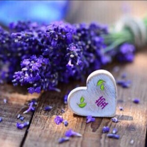 招财猫?的小铃铛?