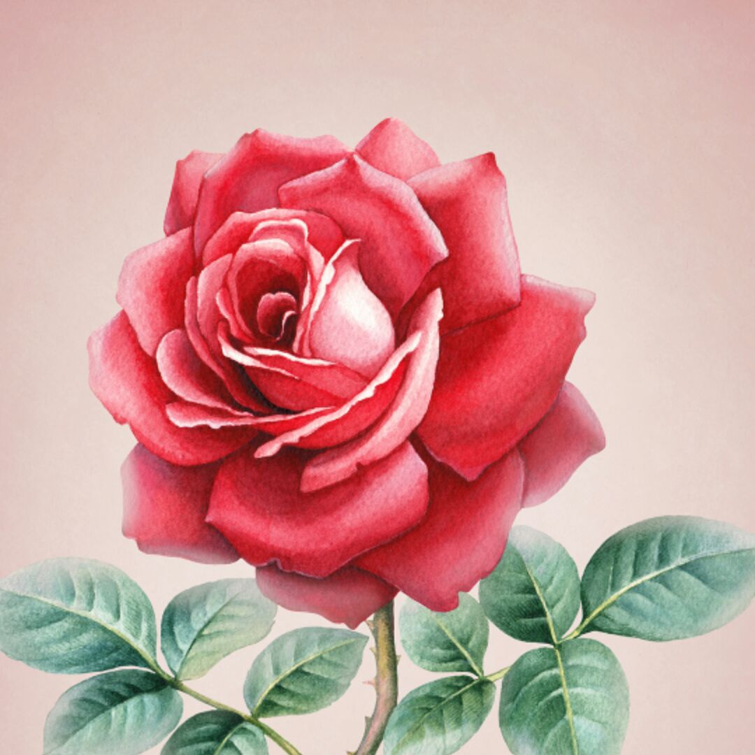 梦想要快乐萌哒哒