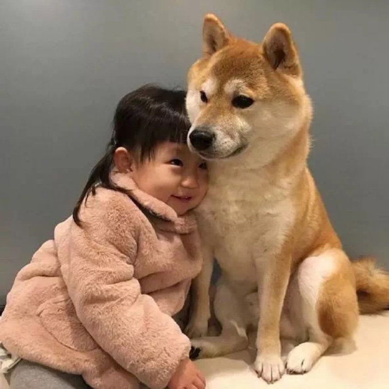 你心中的小菠萝1