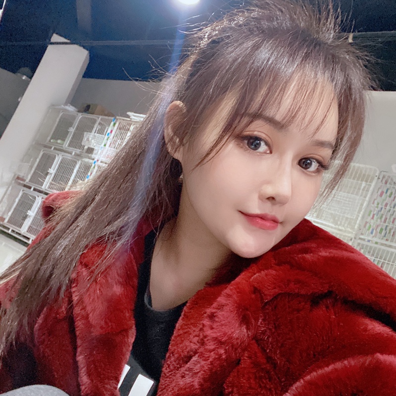 卖猫咪的小女孩