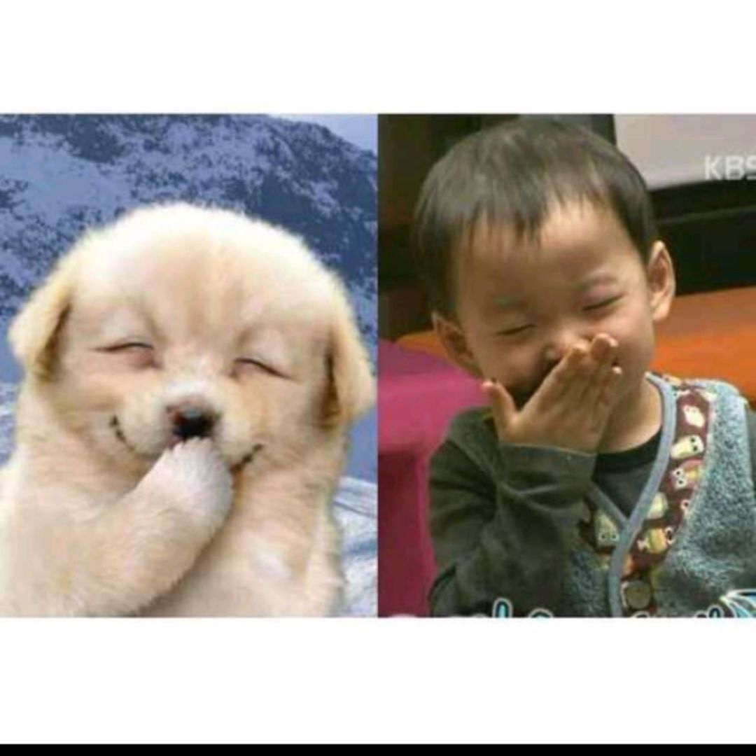 努力奔跑的蜗牛