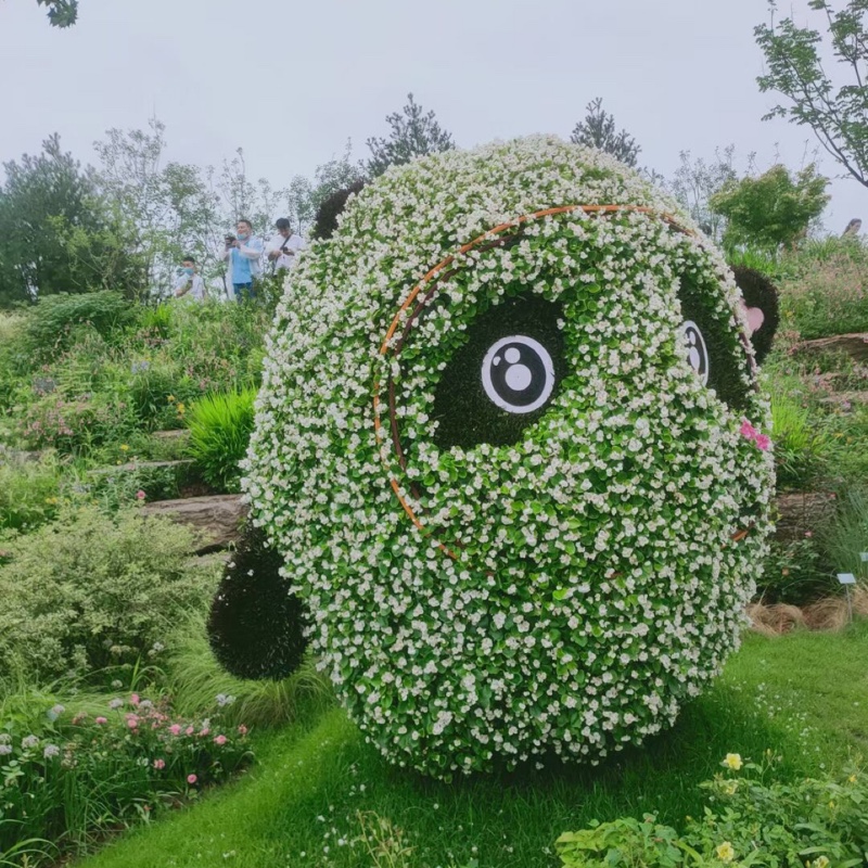 案板街善良的松节