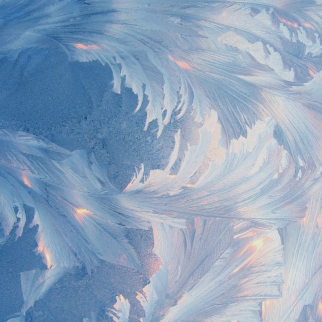 深紫色的南洋红香蕉