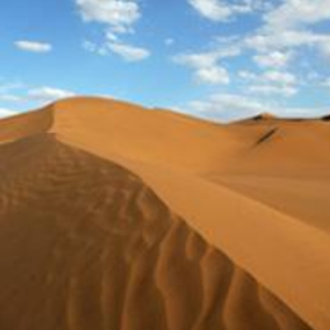 爱吃小笼蒸包的奶油