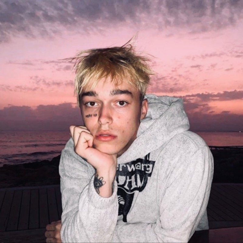 粉扑扑的仙人掌