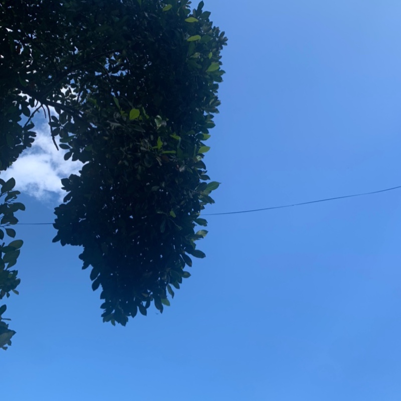 淡定的xiao慧姐姐