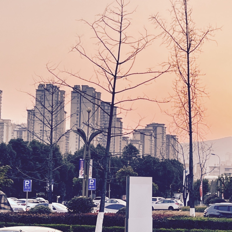 爱购物但没什么钱的啊寇