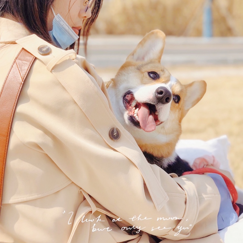 火星辛勤的南藤