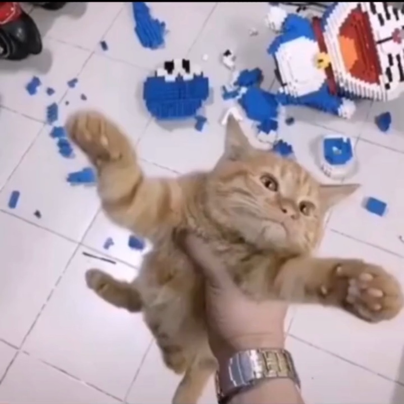 一如既往的贫穷