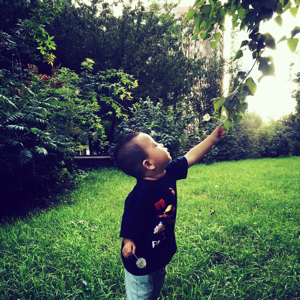 乐观的可爱多yi:-)