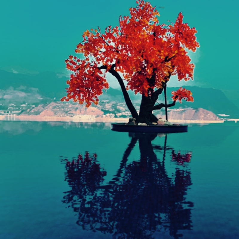 嗯哼嗯哼蹦咔咔。