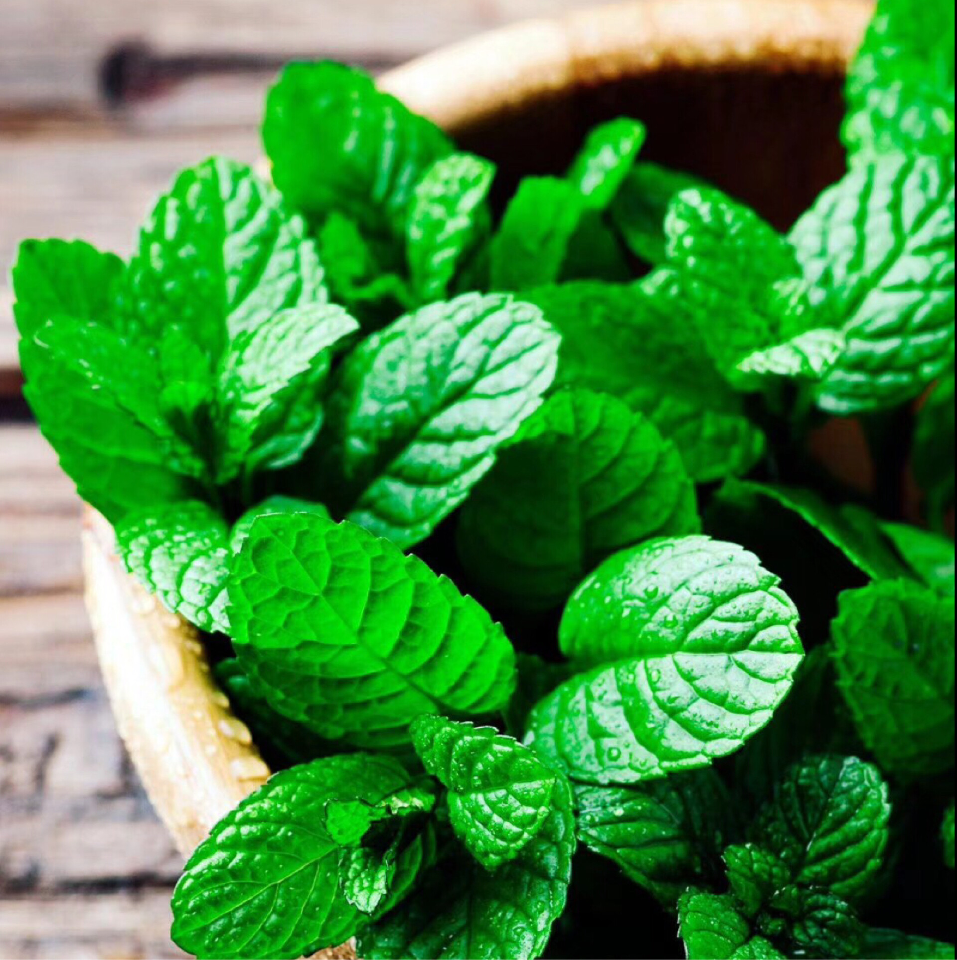 爱情终究是输给太多