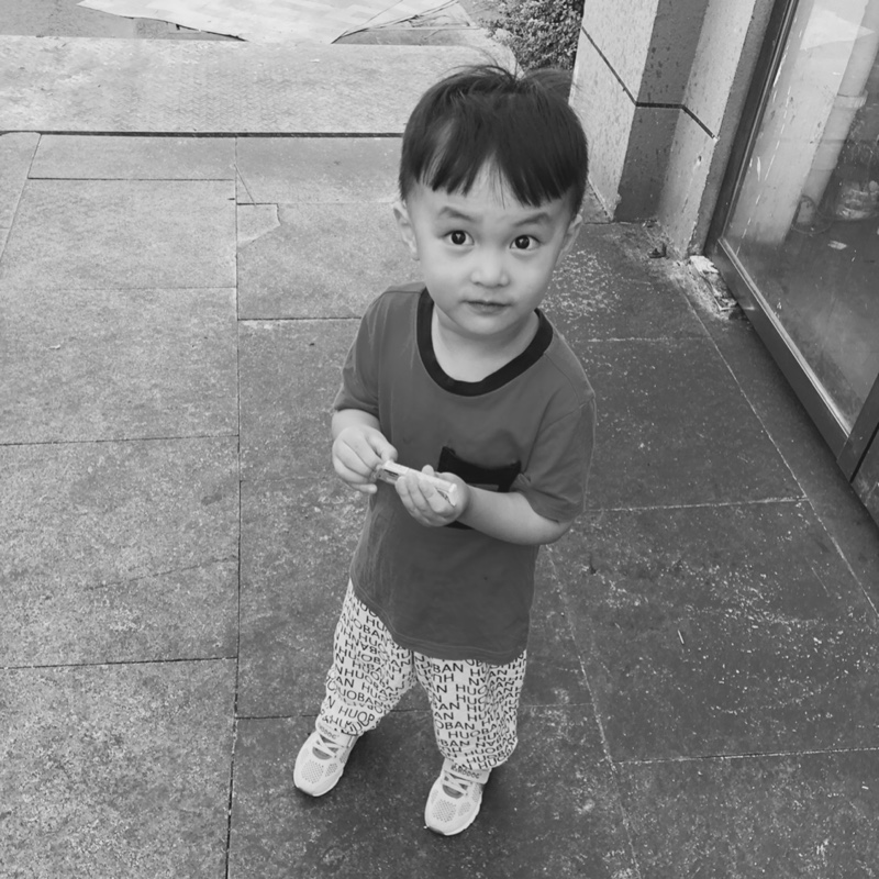 爱吃坚果的仓鼠