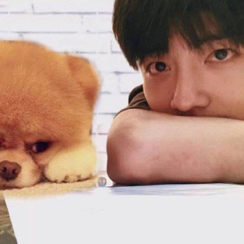 可乐鸡翅不要可乐