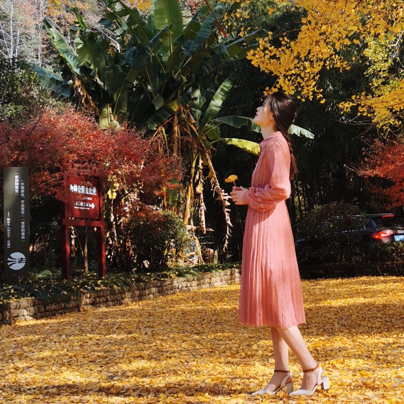 hi今天你花钱了吗