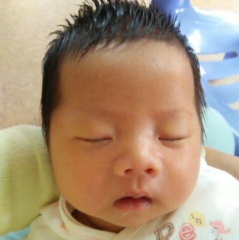 小小小青青青草