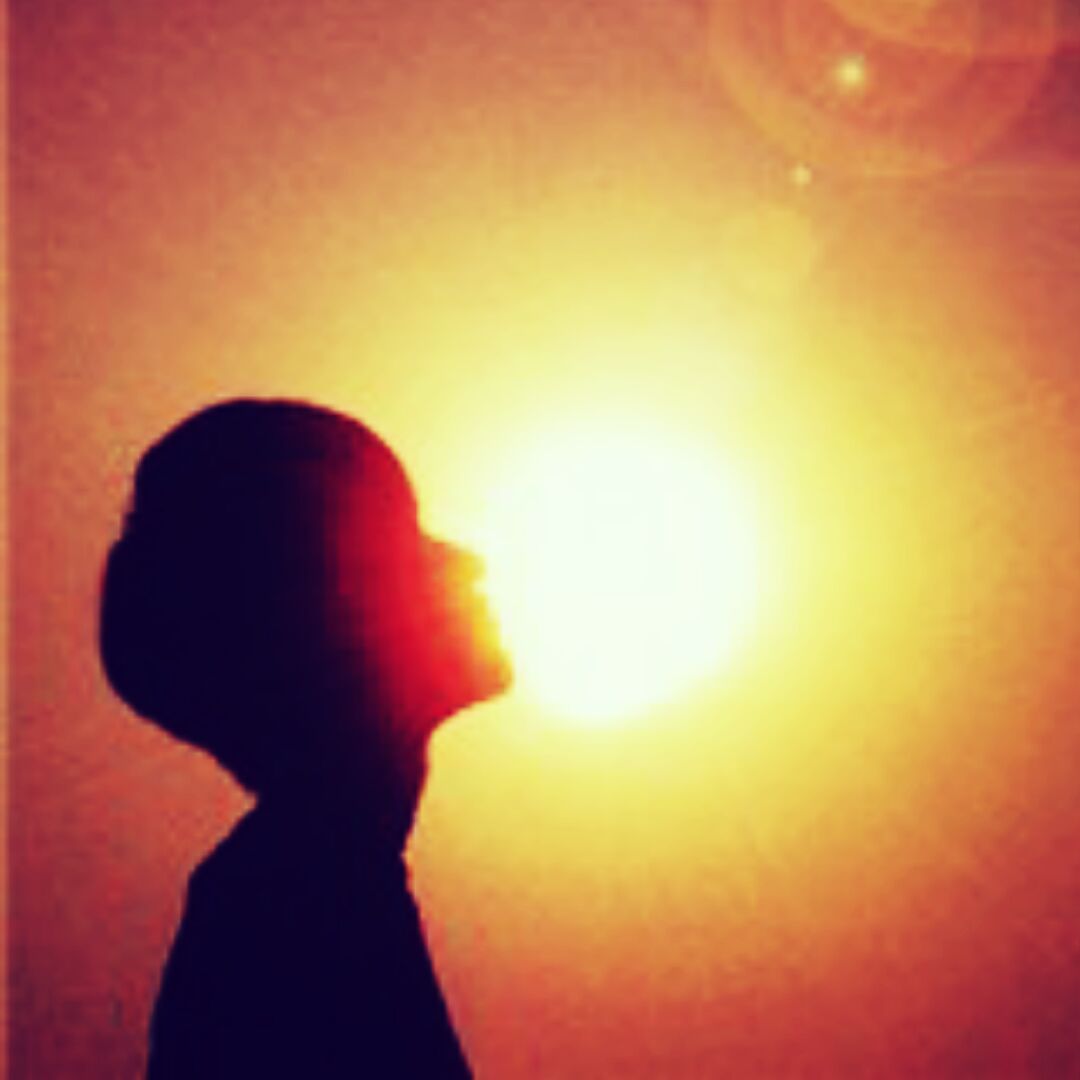 杨太太的杨先生。