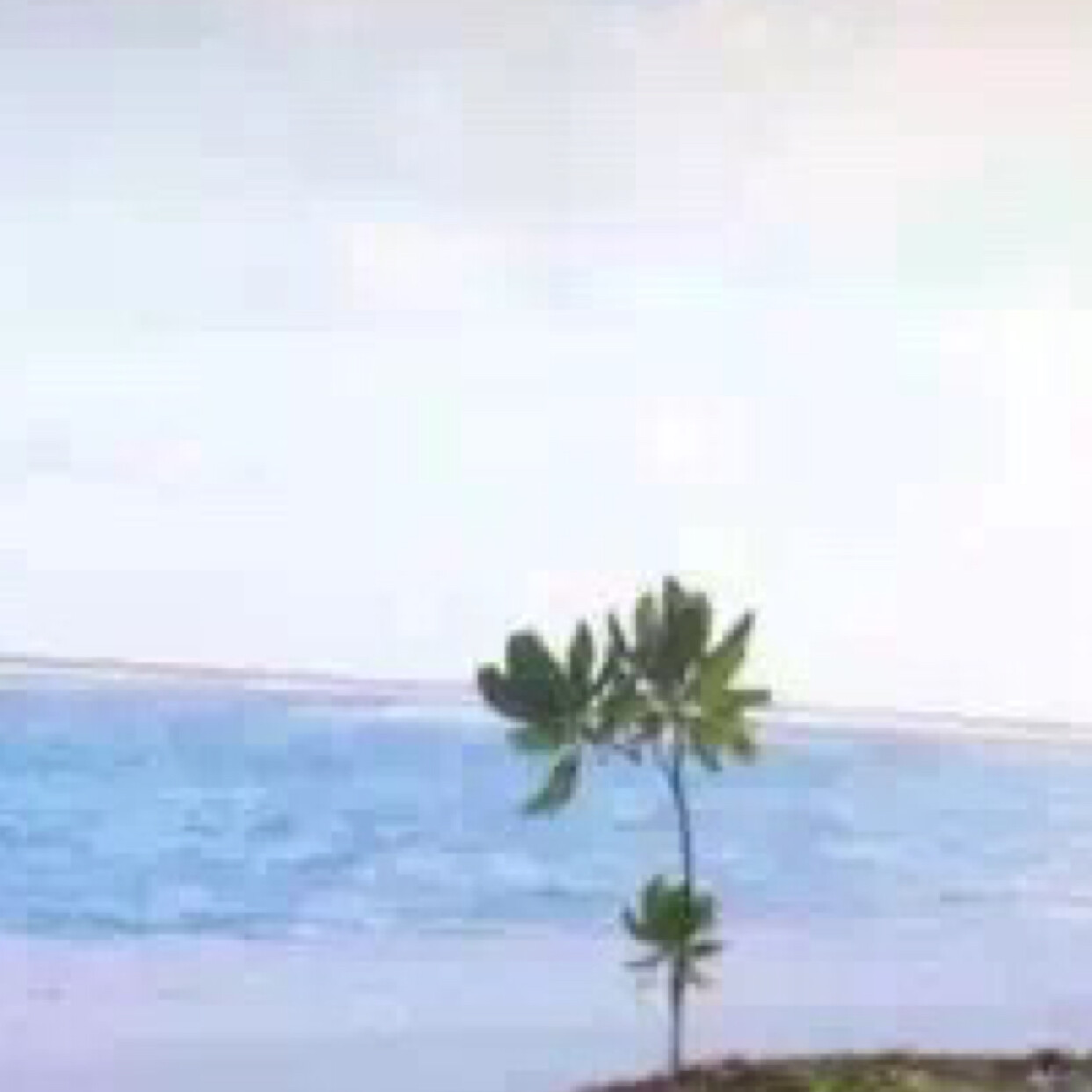 据说你还欠我一辈子