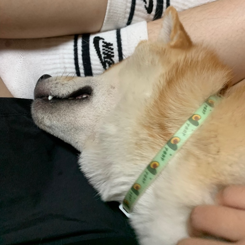 poka的移动购物车