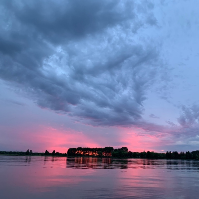 啤酒兑可乐一喝走一个