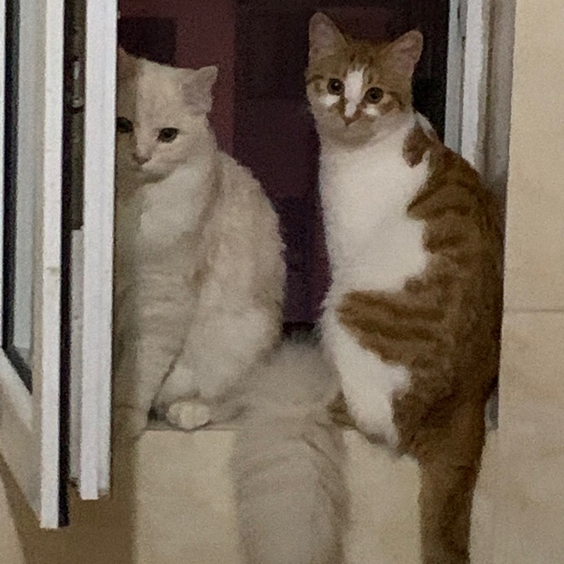 一蓑烟雨任平生777