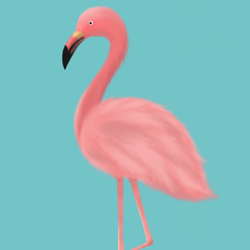 爱吃豉油沼虾的椰汁