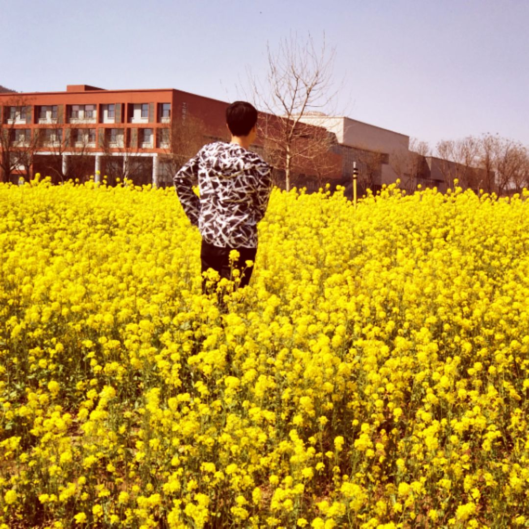 仁义礼智信恭俭让