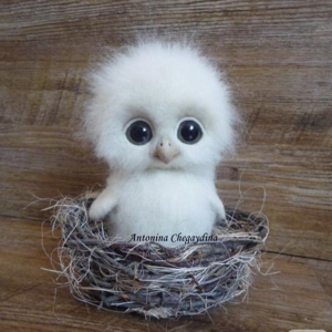 特立独行单身汪