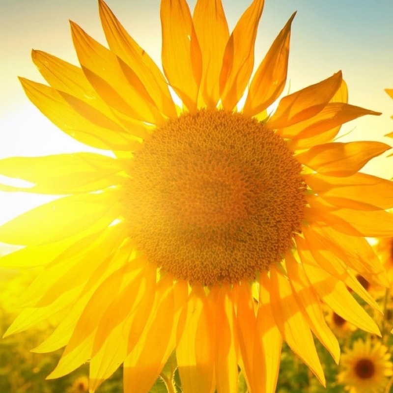 喝杯咖啡休息一会吧