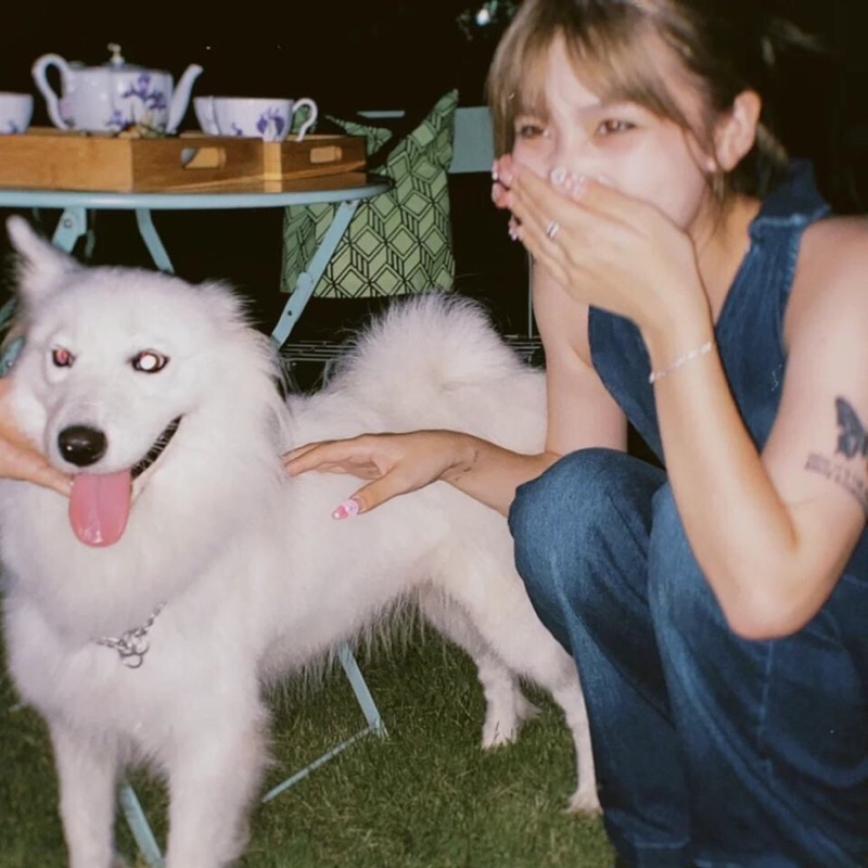 才不要和猪吵架