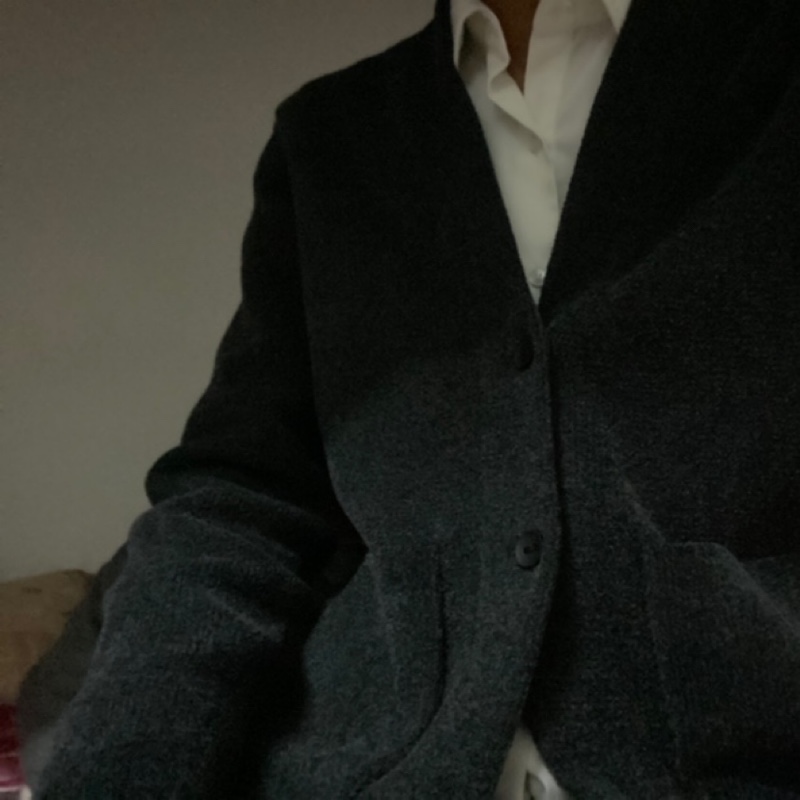 -一只会飞的哈士奇