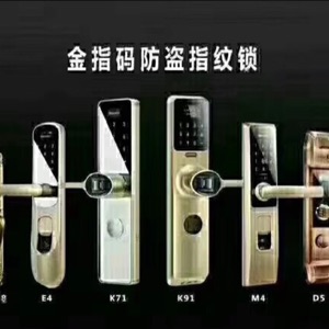 艾迪星蹦极葵花