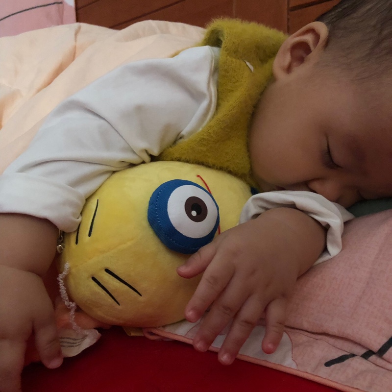 爱吃鱼的小可爱