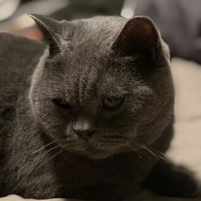 辞臣萌萌玩儿泥巴