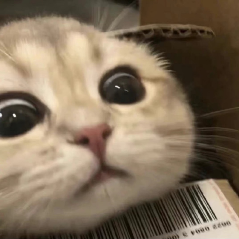 魔仙堡楼下的小卖部