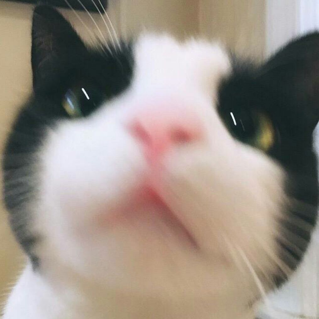 蜗牛大大软趴趴