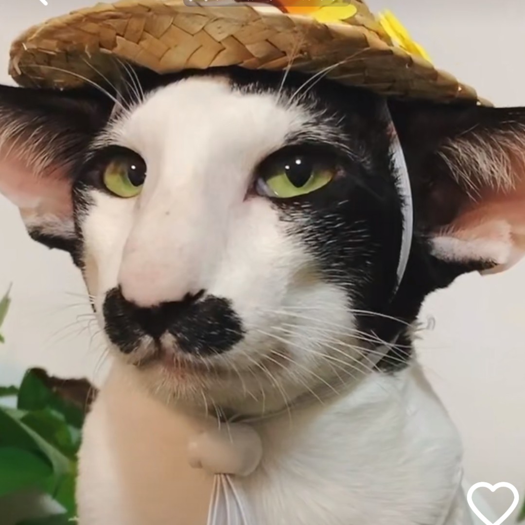 淘尽人生浪与沙