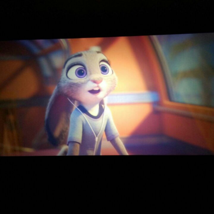 橙红色的乔依幽欢